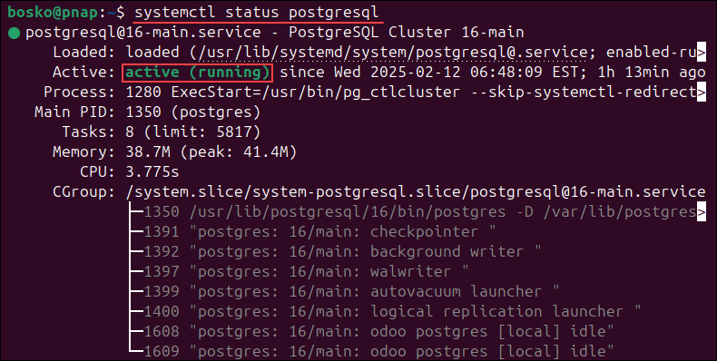 Checking the postgreSQL service status on Ubuntu.