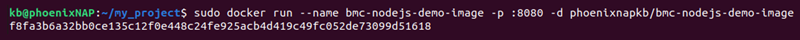 docker run nodejs image terminal output