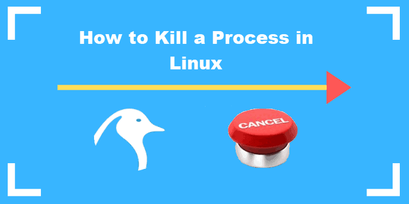 how-to-kill-a-process-in-linux