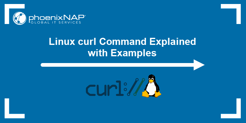 Linux curl Command Explained with Examples