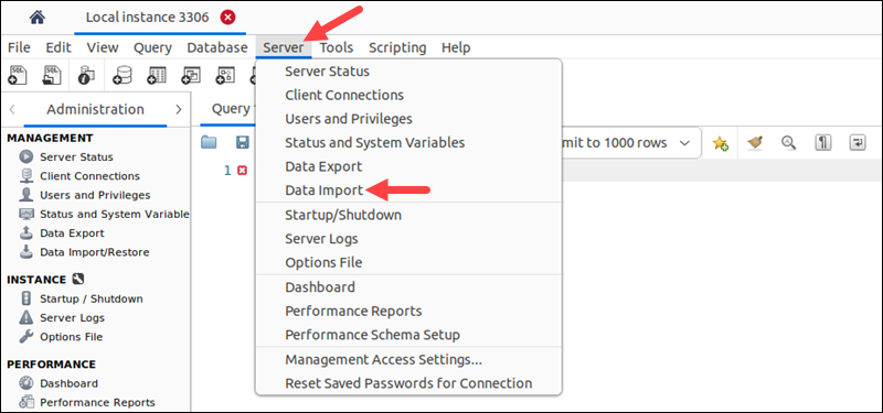 Locating the Data Import section in MySQL Workbench.