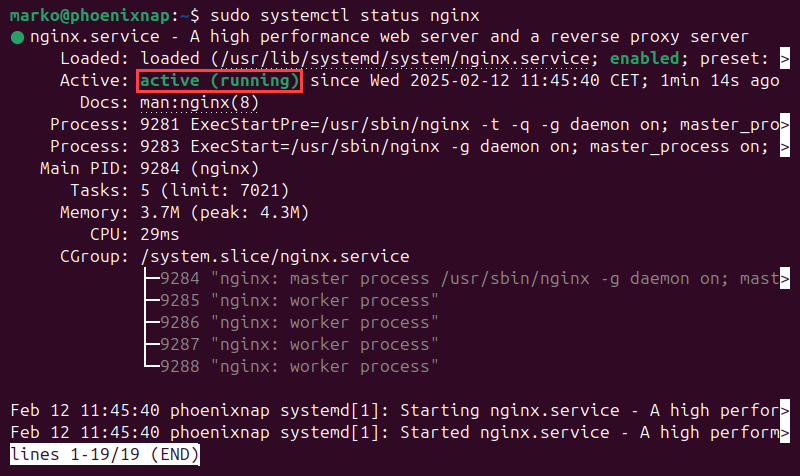 The systemctl command showing the status of the Nginx service.