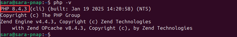php -v terminal output