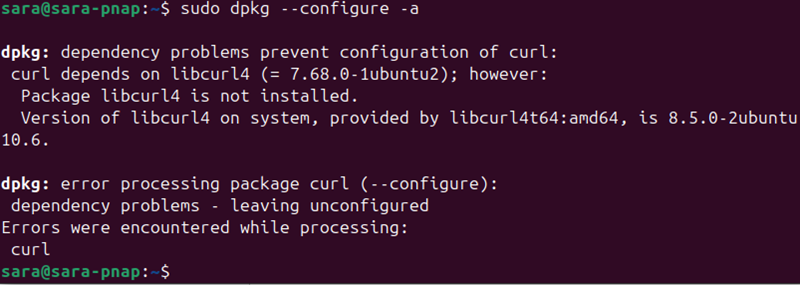 sudo dpkg --configure -a terminal output