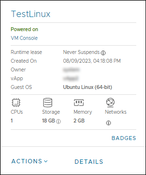 VM overview actions details UI